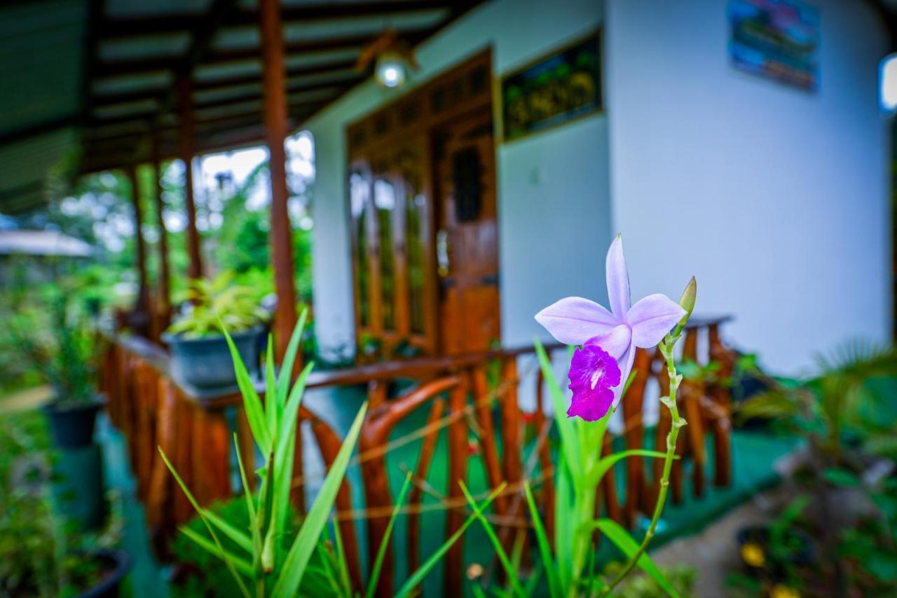 Astral Zone Cottage Ella Bagian luar foto